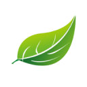 Guia completo de Zênite Ancestral competitivo e monetização